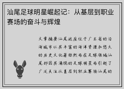 汕尾足球明星崛起记：从基层到职业赛场的奋斗与辉煌