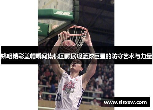 姚明精彩盖帽瞬间集锦回顾展现篮球巨星的防守艺术与力量