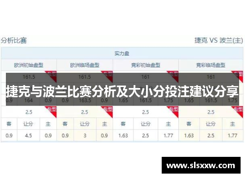 捷克与波兰比赛分析及大小分投注建议分享