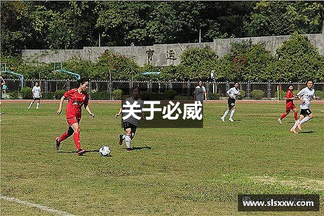 关于必威